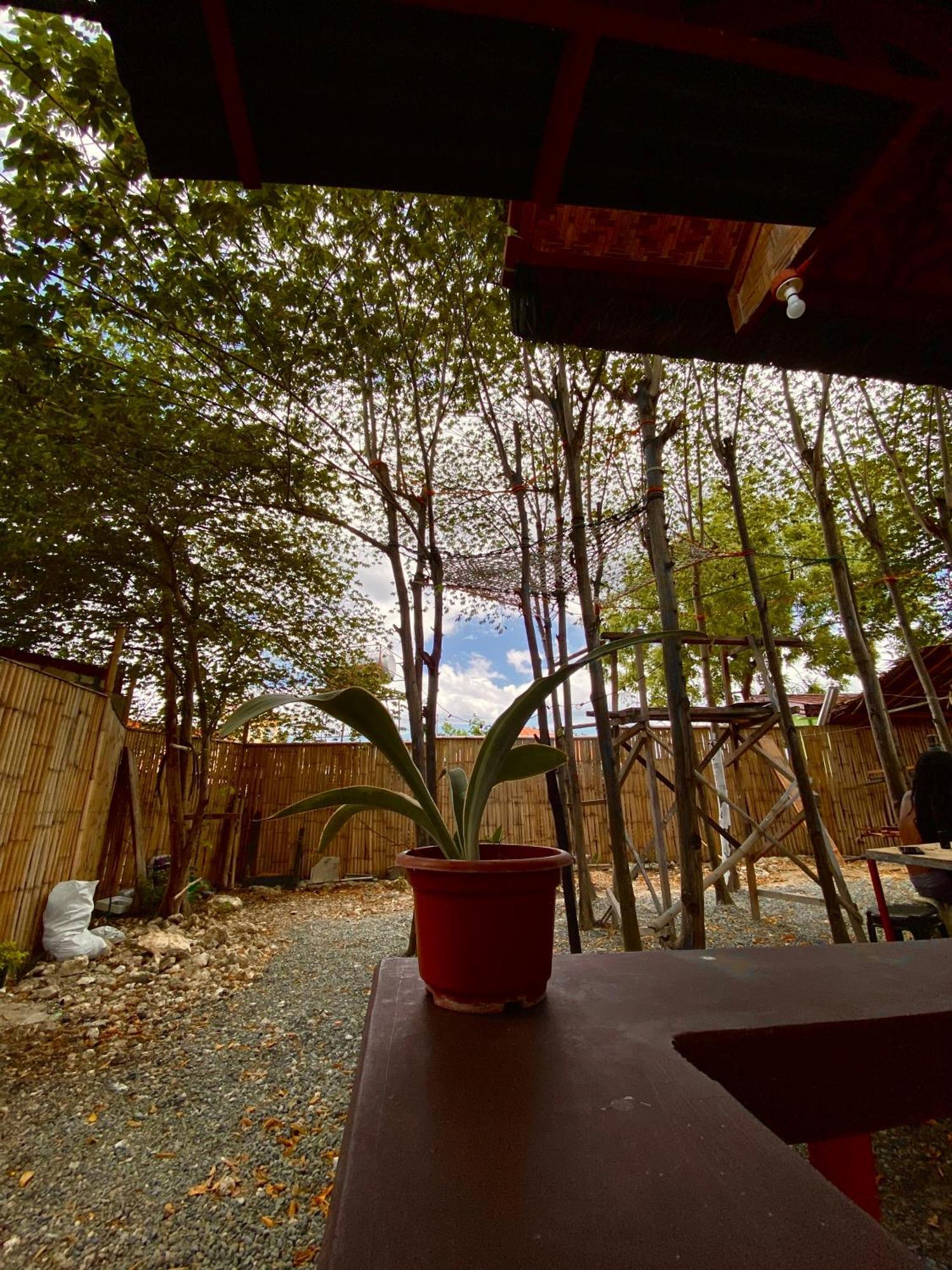 Moalboal Panagsama Beach Topbudz Hostel Εξωτερικό φωτογραφία