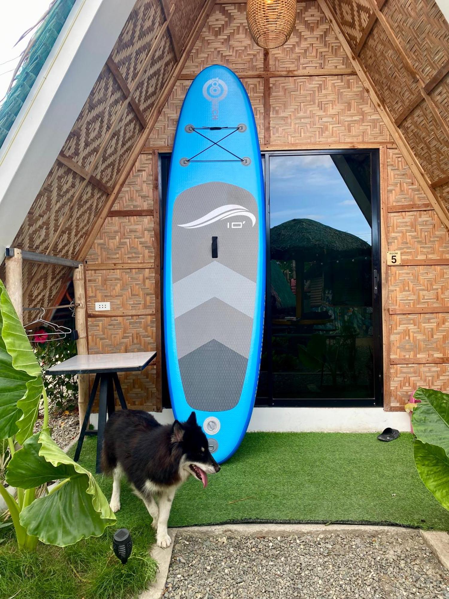Moalboal Panagsama Beach Topbudz Hostel Εξωτερικό φωτογραφία